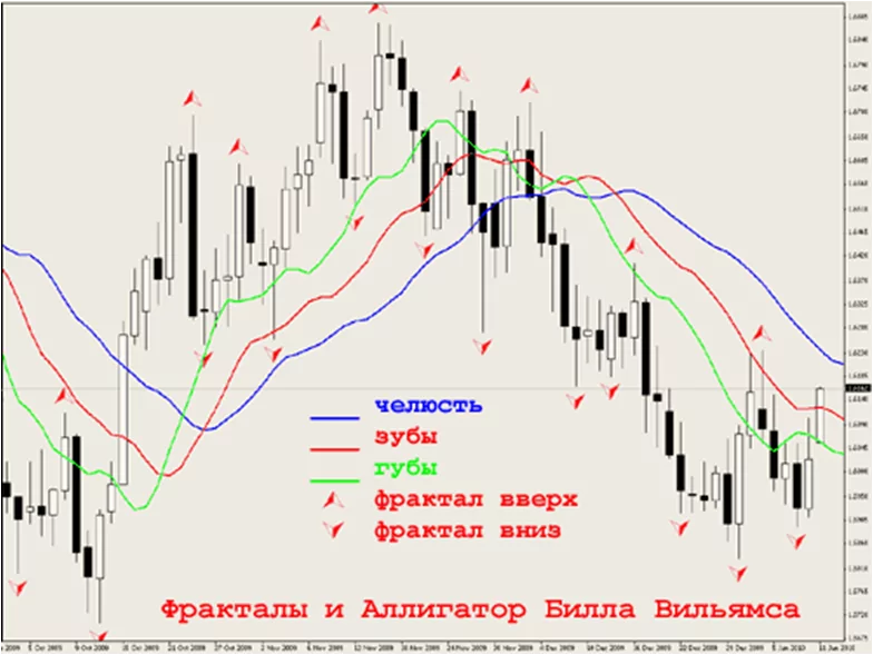 Алигатор Фракталы